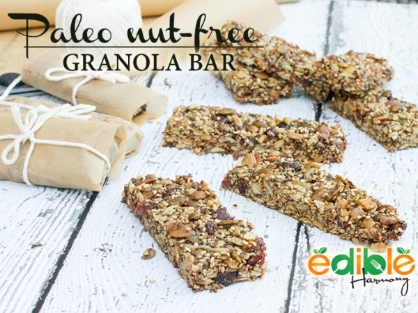 Paleo Granola Bar (nut-free)